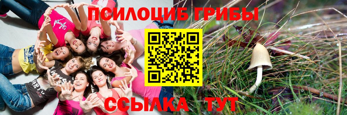 Иркутск  Псилоцибиновые грибы Psilocybe  Вход с VPN 
